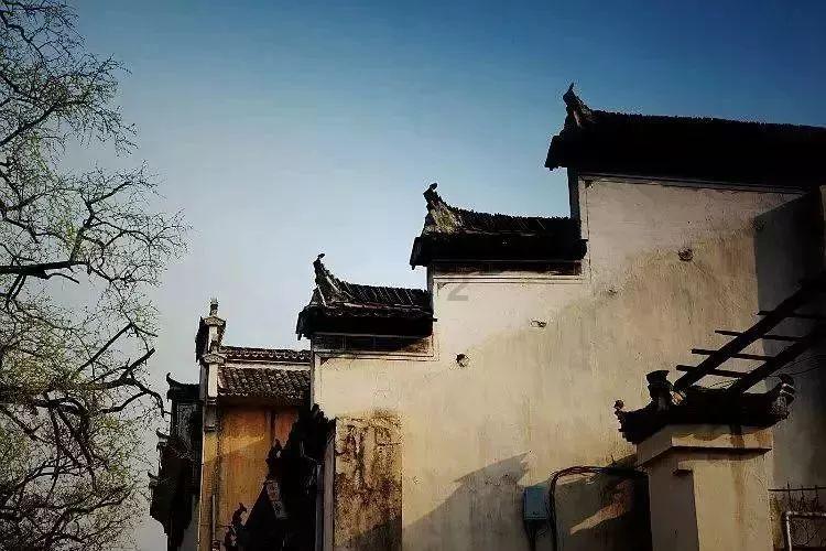强大的狮子拼图
